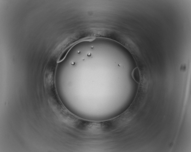 X0000111450123200907201059