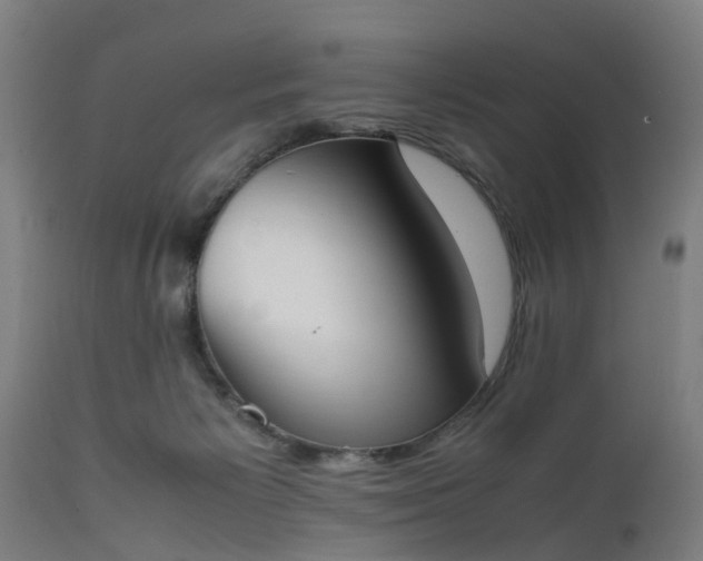 X0000111450125200907201059