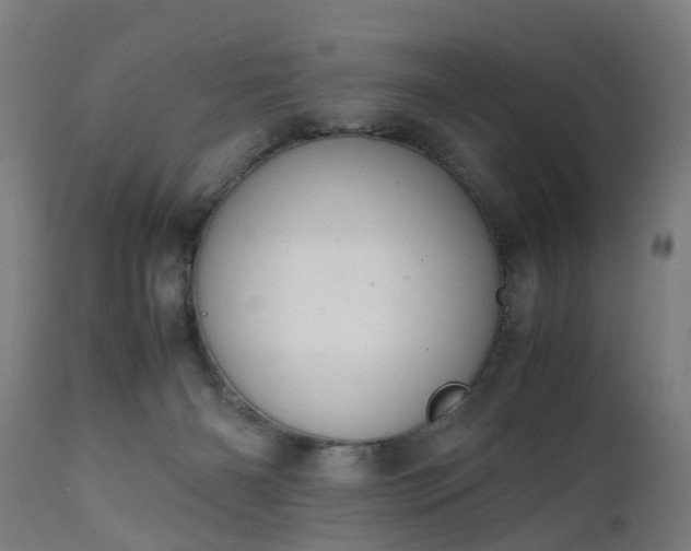 X0000111450126200907201059