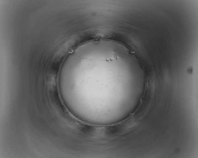X0000111450127200907201059