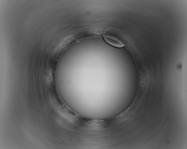 X0000111450128200907201059