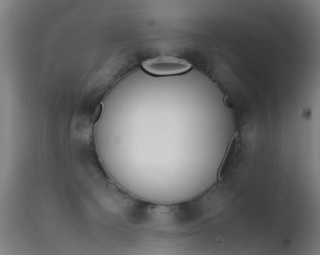 X0000111450129200907201059