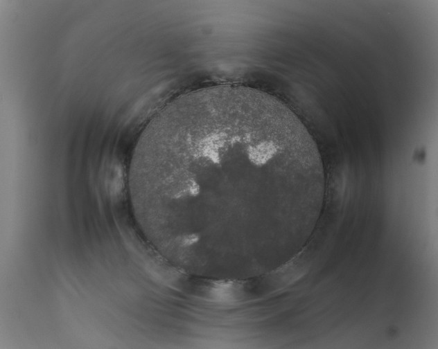 X0000111450130200907201059