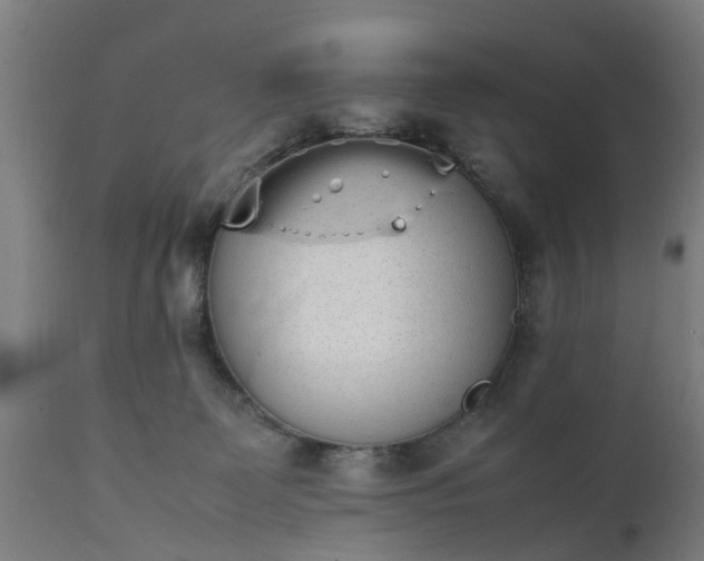 X0000111450131200907201059