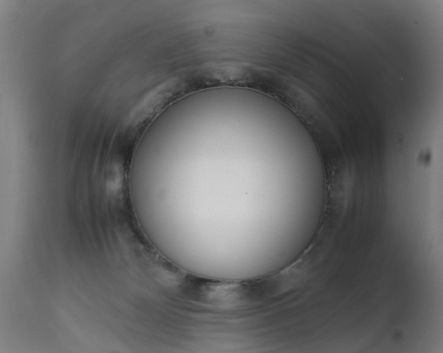 X0000111450132200907201059