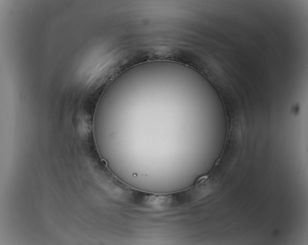 X0000111450135200907201059