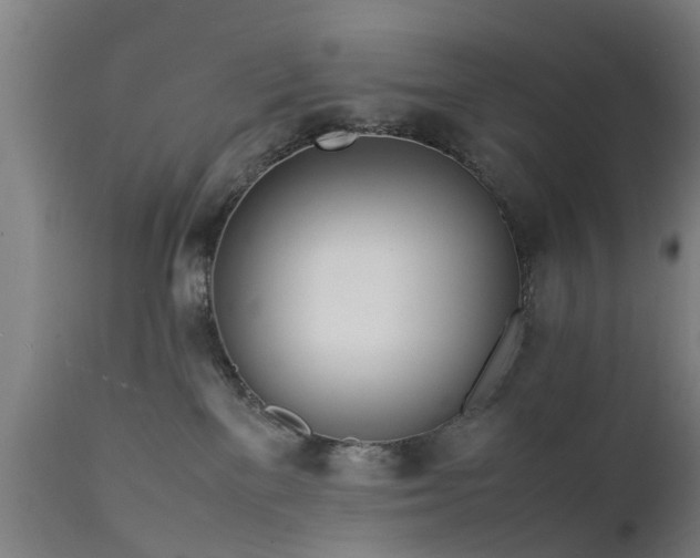 X0000111450137200907201059