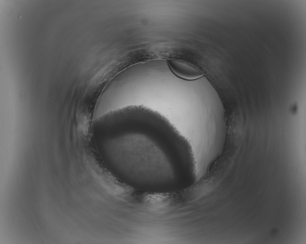 X0000111450139200907201059