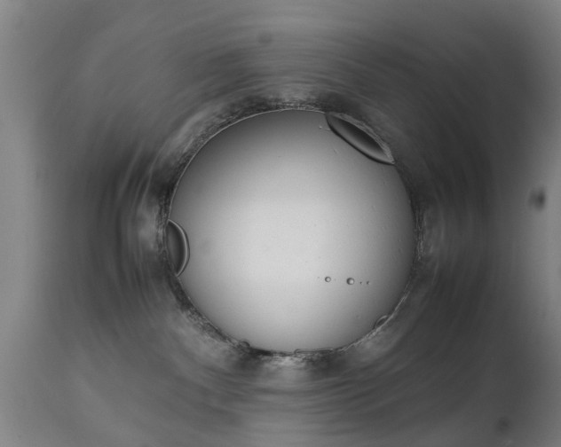 X0000111450140200907201059