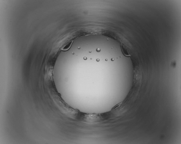X0000111450141200907201059