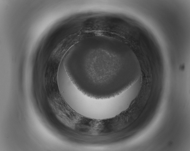 X0000111450143200907201058