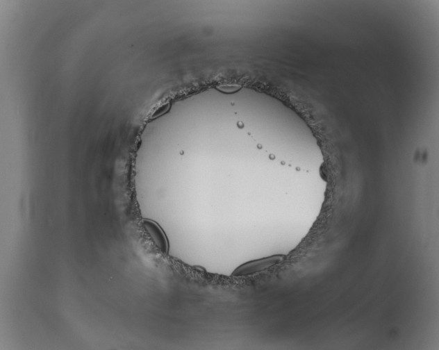 X0000111450144200907201058