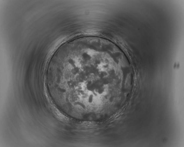 X0000111450145200907201058