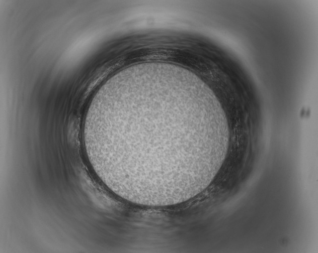 X0000111450146200907201058