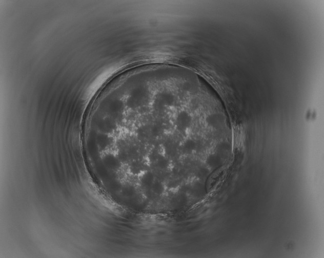 X0000111450147200907201058