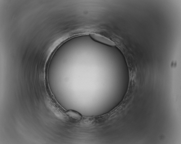 X0000111450148200907201058
