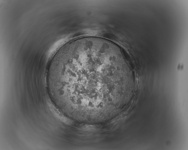 X0000111450149200907201058