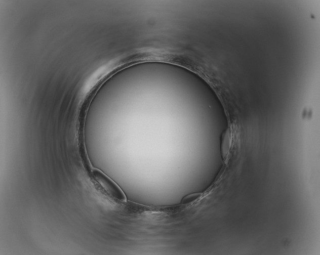 X0000111450150200907201058