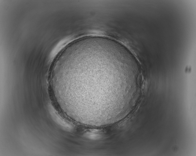 X0000111450151200907201058