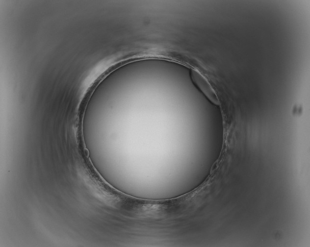 X0000111450152200907201058