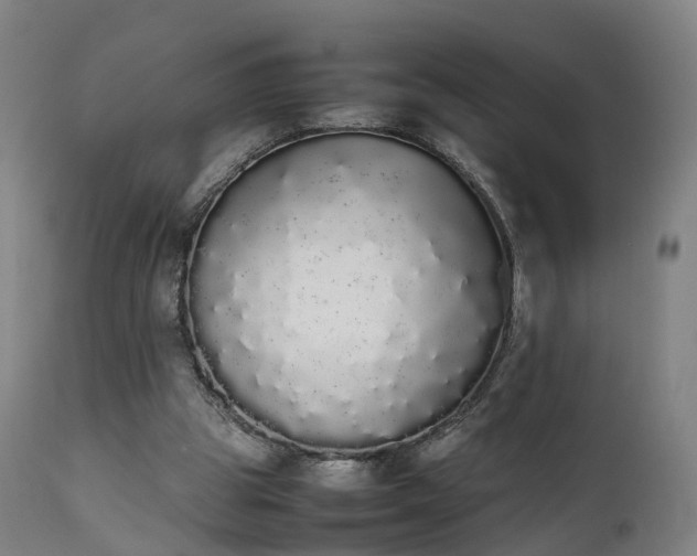 X0000111450153200907201058