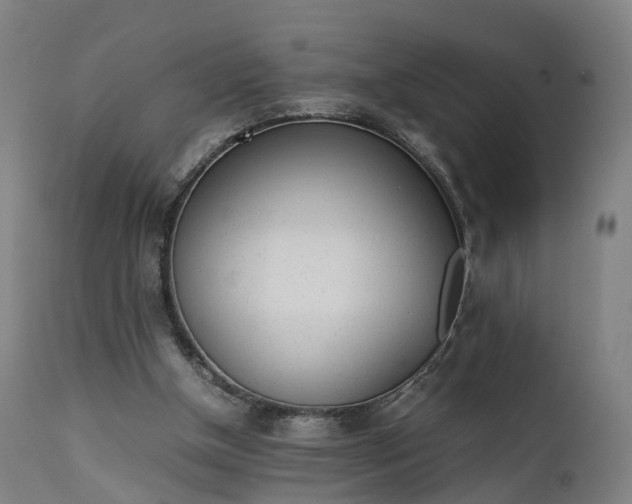 X0000111450154200907201058