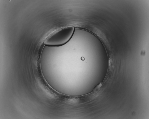 X0000111450156200907201058