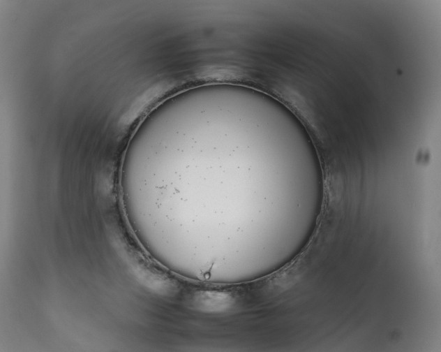 X0000111450159200907201058