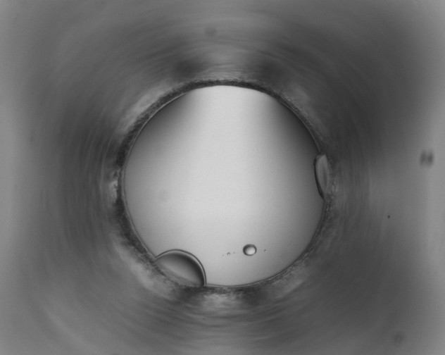 X0000111450160200907201058