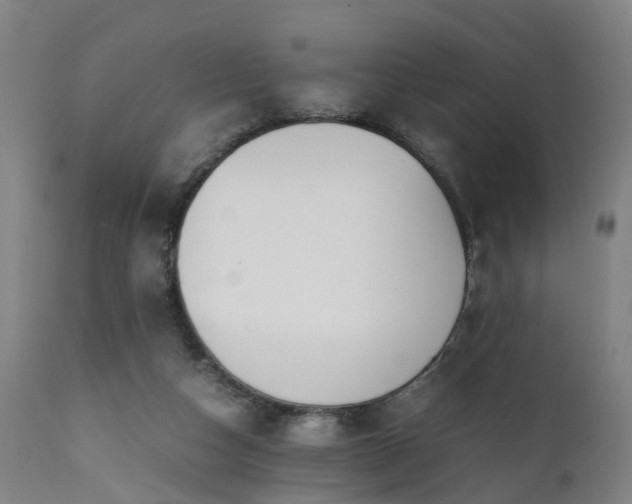 X0000111450162200907201058