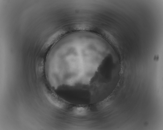X0000111450163200907201058