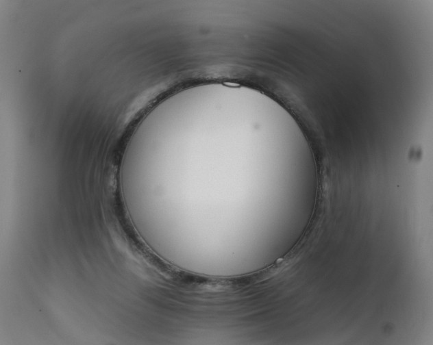 X0000111450164200907201058