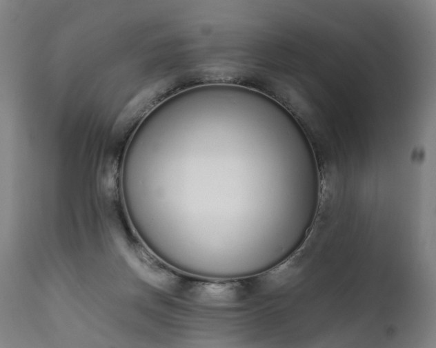 X0000111450166200907201058