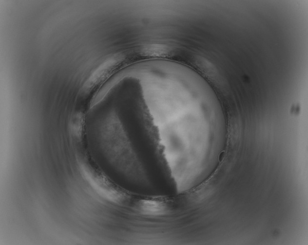 X0000111450167200907201058