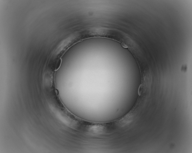 X0000111450168200907201058