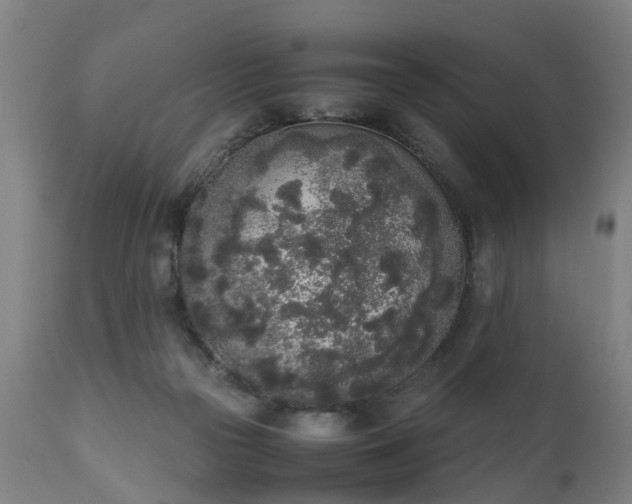 X0000111450169200907201058