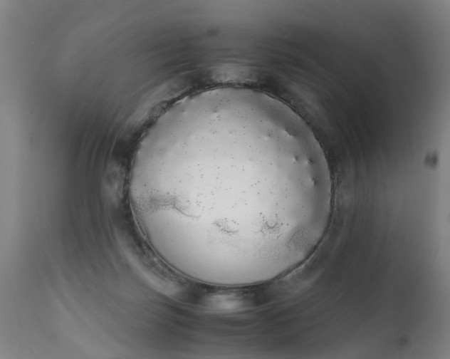 X0000111450171200907201058