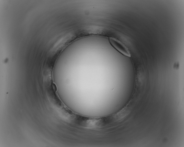 X0000111450172200907201058