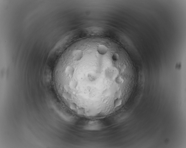 X0000111450173200907201058