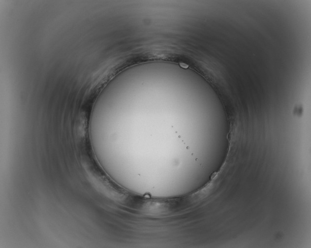 X0000111450174200907201058