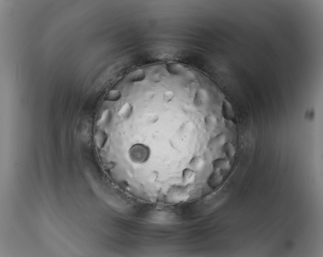 X0000111450175200907201058