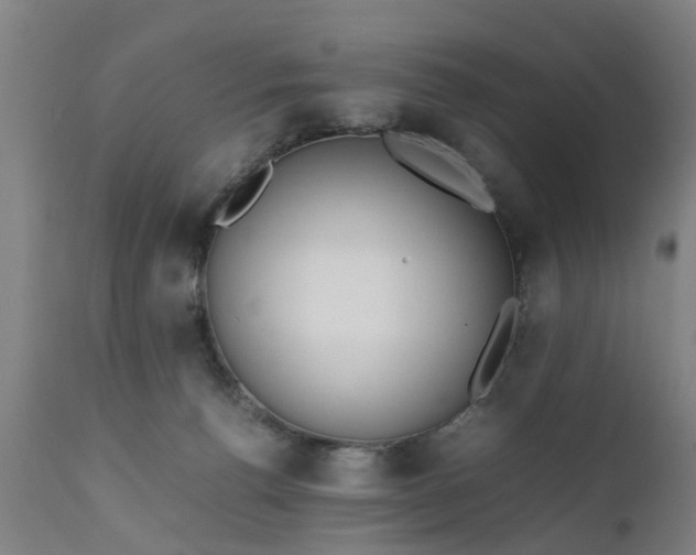 X0000111450176200907201058