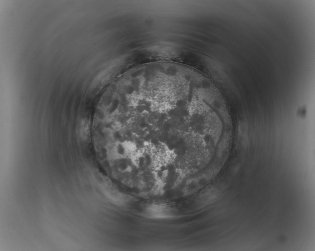 X0000111450177200907201058