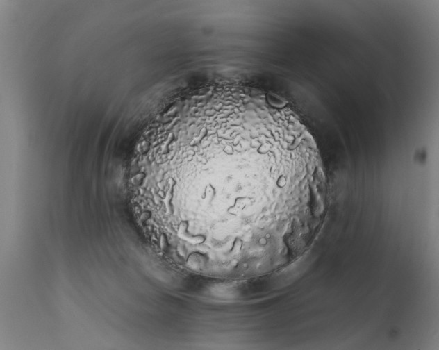 X0000111450178200907201058