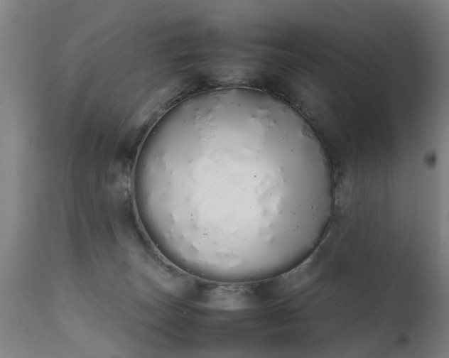 X0000111450179200907201058