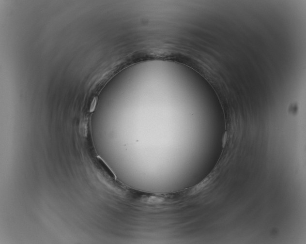X0000111450180200907201058