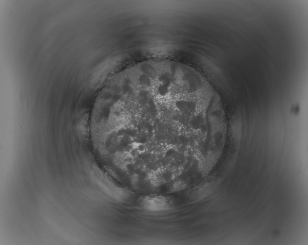 X0000111450181200907201058