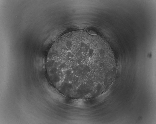 X0000111450182200907201058