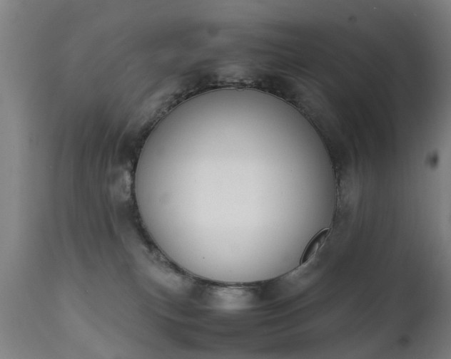 X0000111450183200907201058
