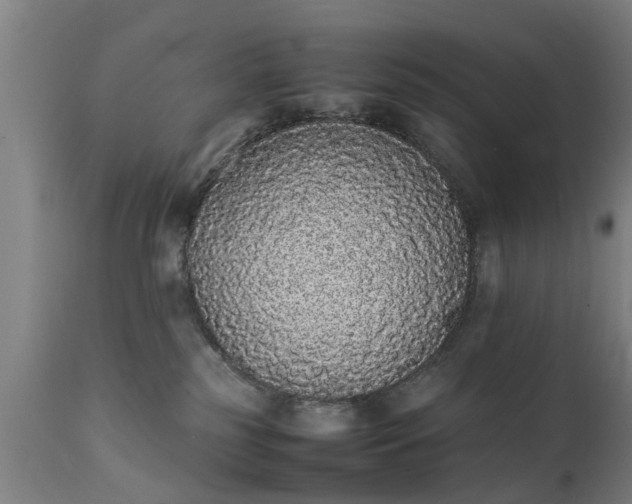X0000111450185200907201058